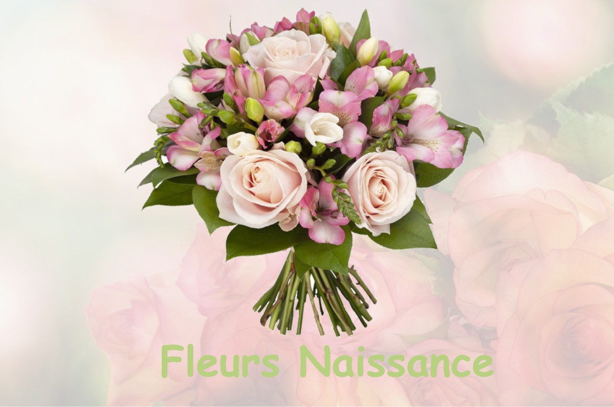 fleurs naissance VAULX-VRAUCOURT